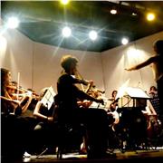 Aprende Violin! Clases personalizadas para todas las edades